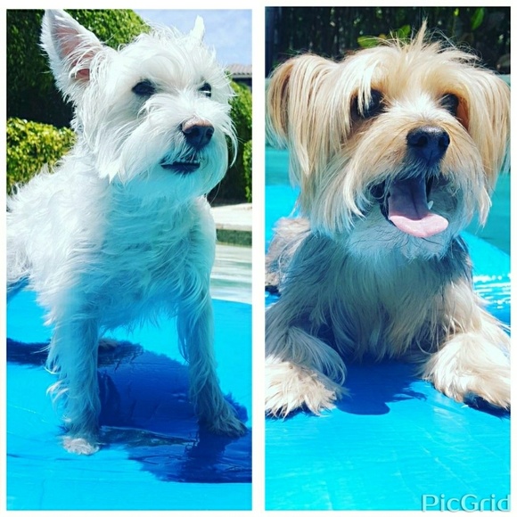 About Marissa... - Picture 5 of 5